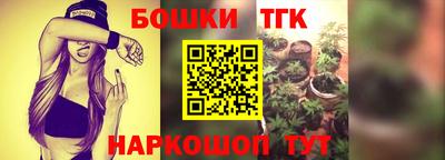 тгк Пугачёв