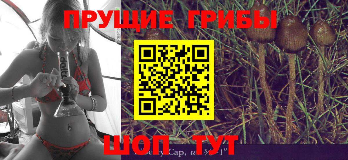 Вышний Волочёк  Псилоцибиновые грибы Psilocybe  Галлюциногенные грибы GOLDEN TEACHER  Вход с VPN 